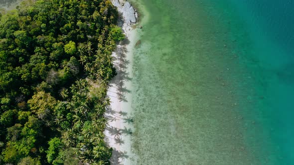 Drone Aerial Circle Fly Above Blue Lagoon and Paradise Sandy Beach with Palm Trees Swaying in the