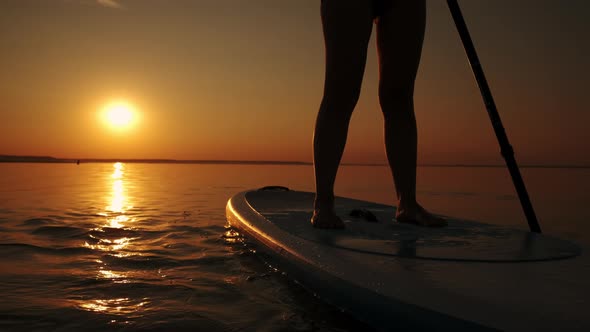 Close Up Shot of Woman Standing Firmly on Inflatable SUP Board and Paddling Through Shining Water