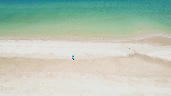 Drones are flying forward from coconut palms to seas