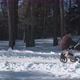 Young Mother Walks with Her Baby in a Stroller in the Woods - VideoHive Item for Sale
