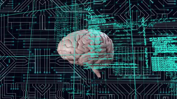 Brain and a digital circuit with program codes alt