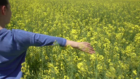 Girl Walking In Canola Field