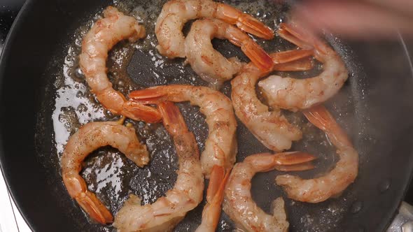 Cooking Big Shrimps on Frying Pan