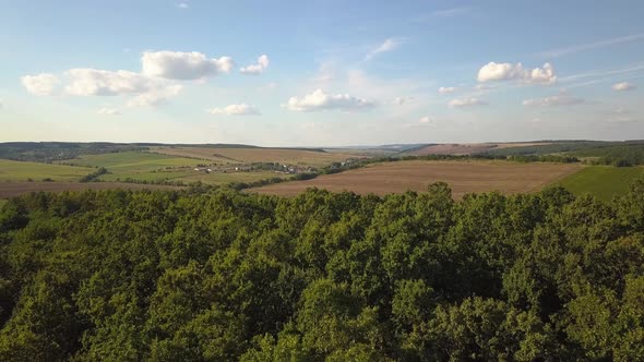 Top down aerial view of green summer forest with many fresh trees.