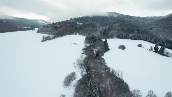 Winter In The Mountain Landscapes With Pine Trees Covered By Snow. - Aerial Reveal Shot