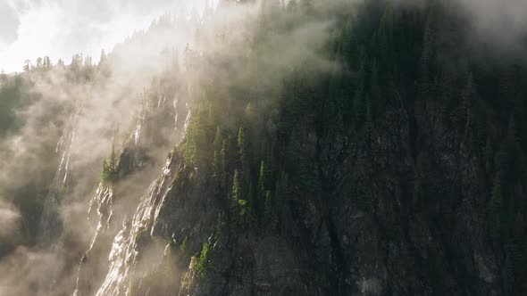 Epic Aerial Flight Over Foggy Forrest in Golden Sunset Pine Tree Tops in Clouds