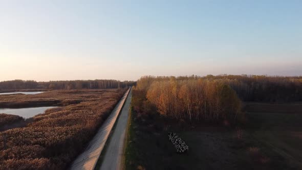 Aerial Autumn Scenery