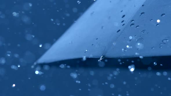 Rain and umbrella, Slow Motion alt