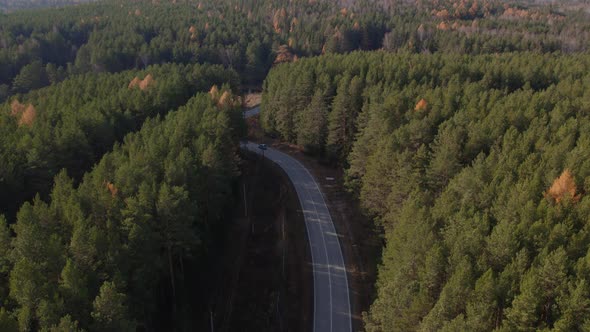 Closeup road between yellow and green autumn forest