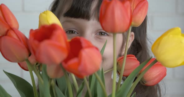 Bright Tulips for Birthday