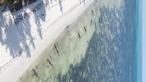 Vertical Video of the Ocean Near the Coast of Zanzibar Tanzania Aerial View