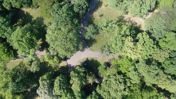 Top-down aerial view of a park in summer