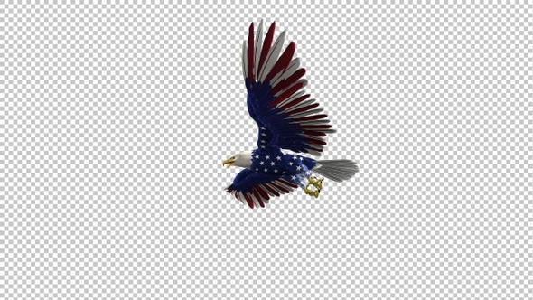 American Eagle - USA Flag - Flying Transition - III