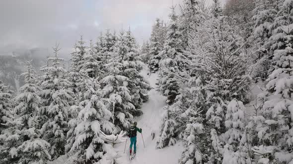 Drone Of Man Ski Touring Uphill Through Snow Covered Forest