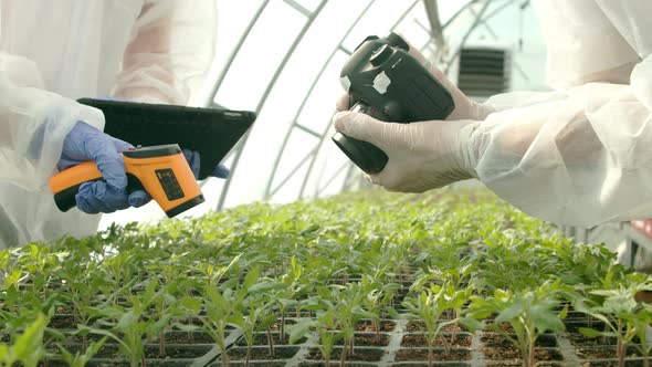 Farmers Checking Plants in Greenhouse