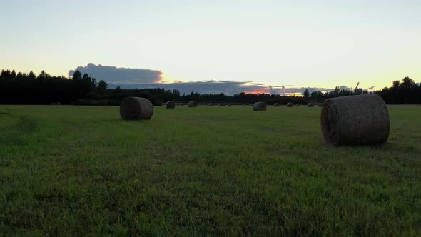 Hay Rolls