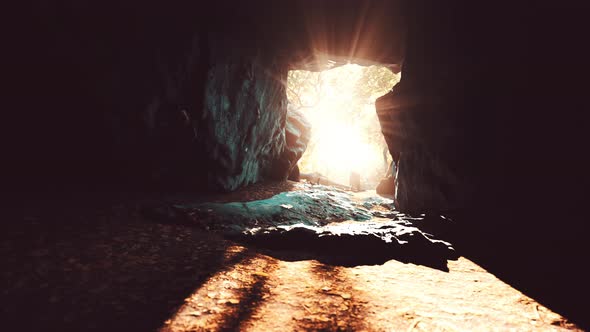 Big Dark Cave and Sun Light From Jungle Forest