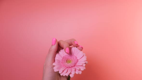 Simple Pink Gel Nail Design