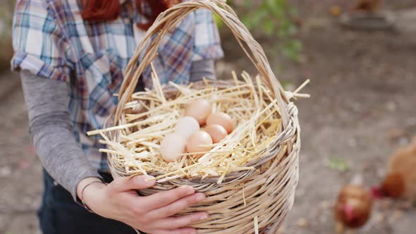 Basket of Fresh Chicken Eggs