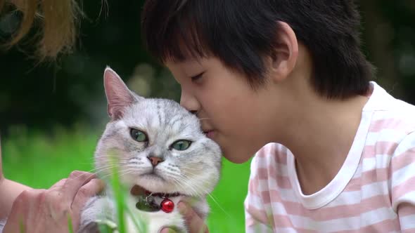 Asian Mother And Her Son Playing With Scottish Cat In The Park Outdoor