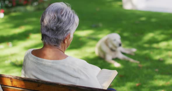 Video of back view of biracial senior woman reading, sitting on bench in garden with dog