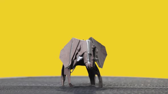 Origami Elephant on Colorful Background.