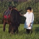 A Young Blonde Girl Strokes the Horse's Mane - VideoHive Item for Sale