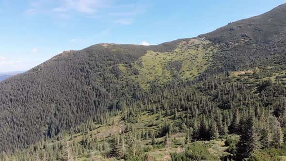 Aerial Panoramic View of Green Mountain Range and Hills in Valley of Carpathian