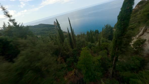 Drone Over Tree Tops Of Lush Forest Landscape