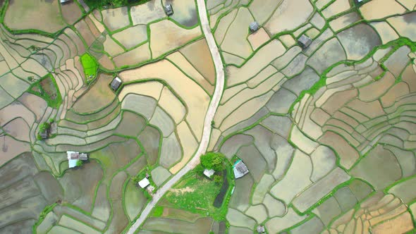 Drone flying over rice terraces field in countryside