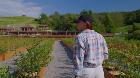 Woman Farmer Inspecting the Area with Bilberrry Plants