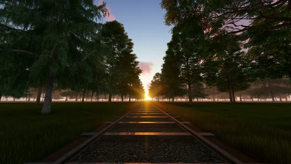 Railway At Sunset