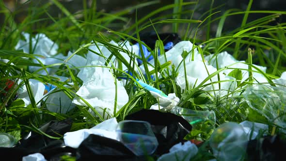 Person Throwing Plastic Bag in Forest Landfill, Human Impact on Environment