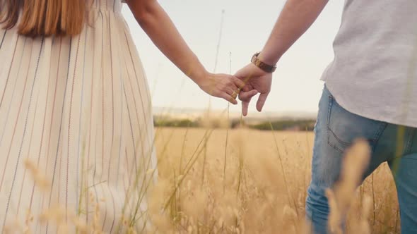 Young Couple In Love Holding Hands While Walking In The Golden Crop Field. - medium shot