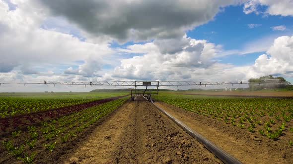 Irrigation System on Agricultural Land