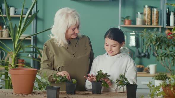 Granny and Granddaughter Taking Care of Plants Transplants Home Plants Into New Pots