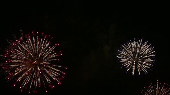 Colorful Firework display at night on sky background