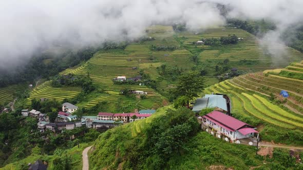 Aerial View of The Village Among The Green Forests and Jungles with Palm Trees in Asia Trees and