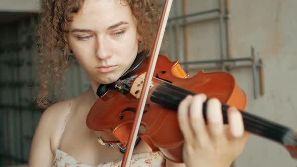 the violinist: Musician playing violin