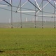 Pivot Irrigation On A Vegetable Field With Turbines In The Background - VideoHive Item for Sale