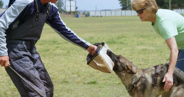 Trainer training a shepherd dog in the farm 4k