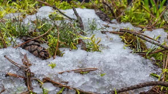 Macro Timelapse Shot of Shiny Melting Snow Particles Turning Into Liquid Water and Unveiling Green