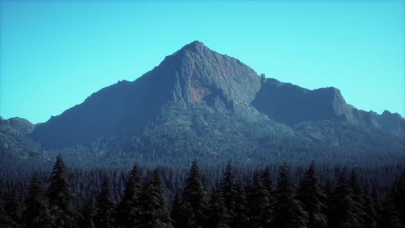 Majestic Mountains with Forest Foreground in Canada