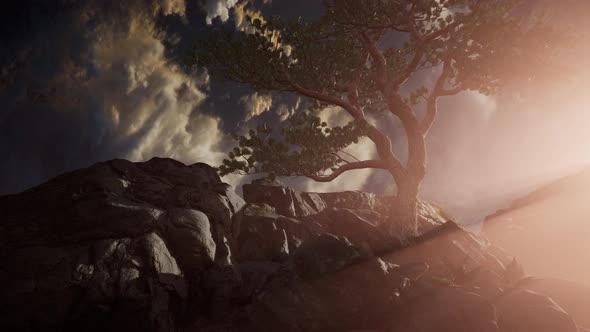 Beautiful View Above Cloudscape alt