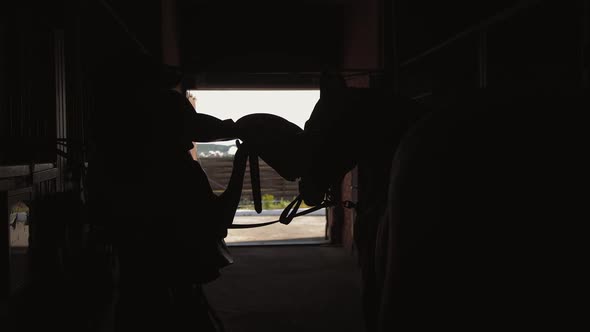 Silhouette of Woman Rider Puts Saddle on Her Horse in Stable