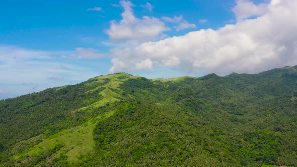 Mountain Landscape with Rainforest Aerial View