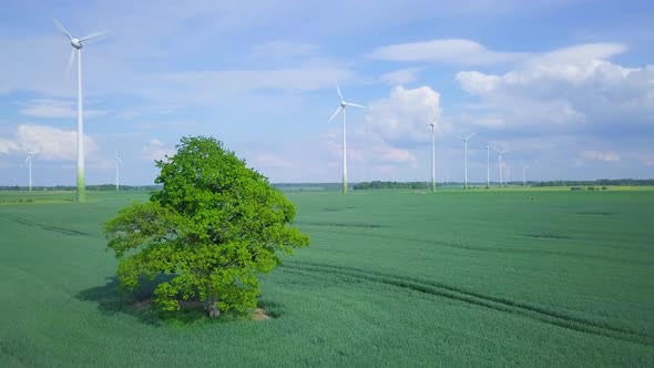 Aerial view of wind turbines generating renewable energy in the wind farm, sunny summer day, lush gr