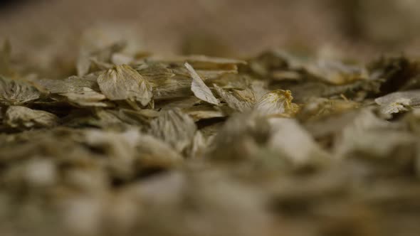 Rotating shot of barley and other beer brewing ingredients