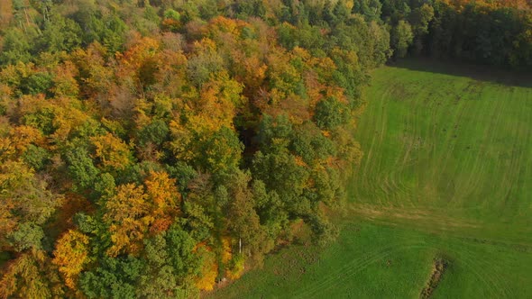 drone flight over beautiful autumn colored forest and autumn landscape