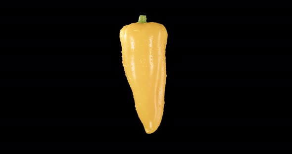 Yellow Pepper. Alpha Channel. Rotation